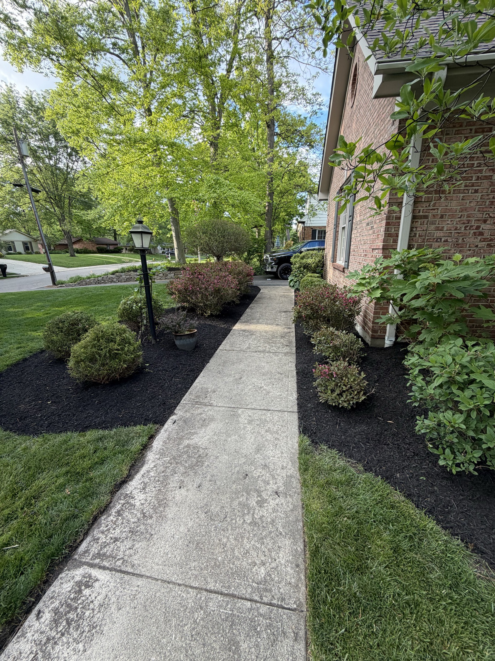 Freshly maintained foundation landscape beds beside a residential walkway