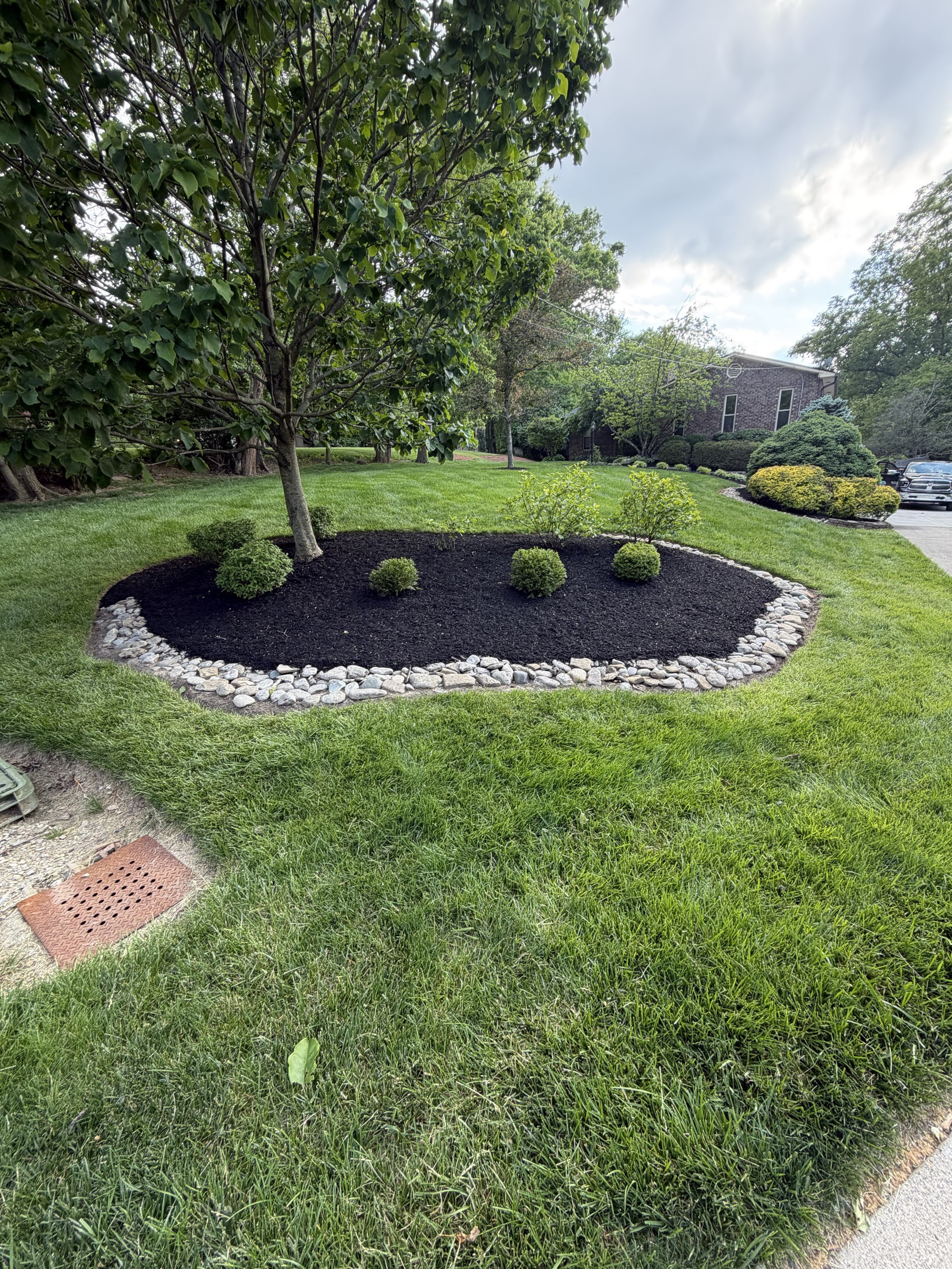Garden bed with stone border, mulch, and ornamental plantings