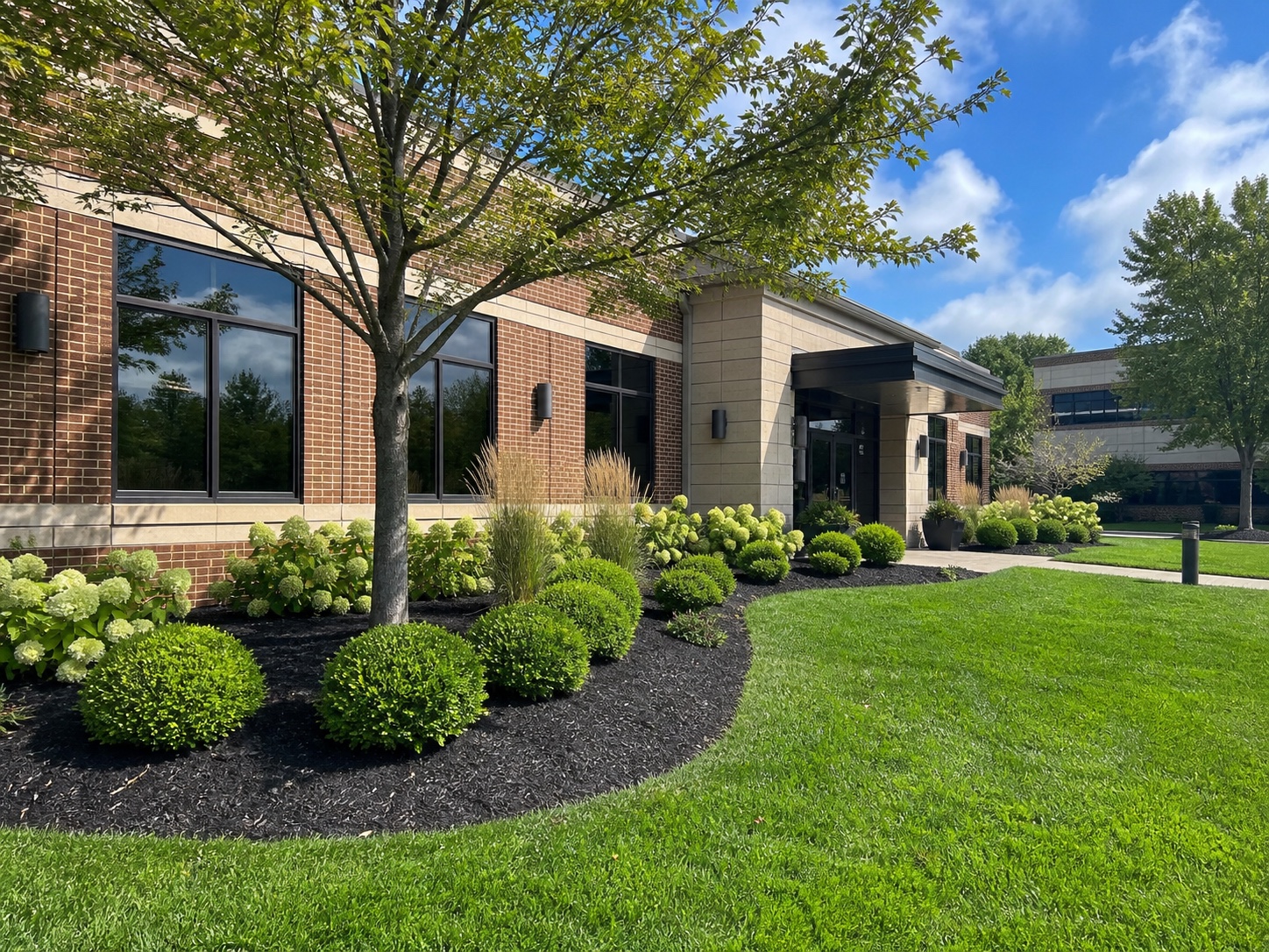 Commercial landscape frontage with maintained lawn and planting beds