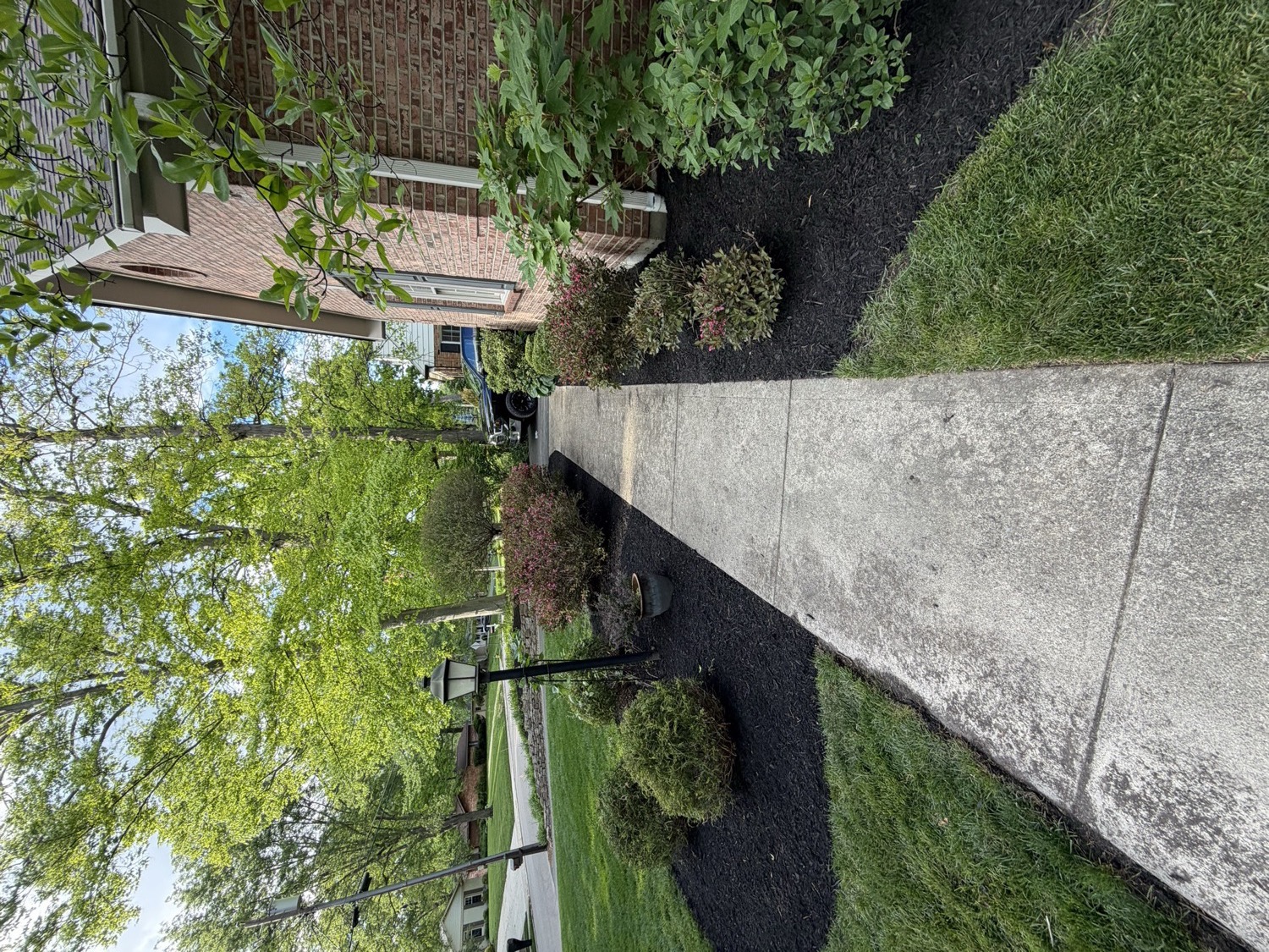 Front-entry landscape presentation landscape example for Hyde Park properties