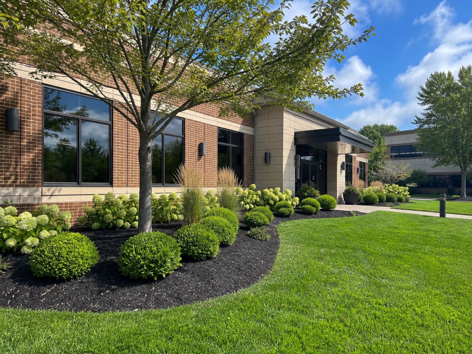 Clean, professional frontage landscape example for West Chester properties